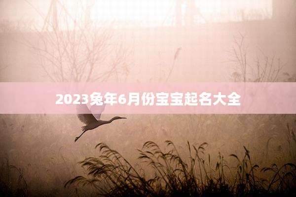 2023兔年6月份宝宝起名大全