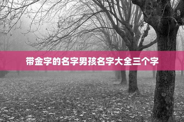 带金字的名字男孩名字大全三个字