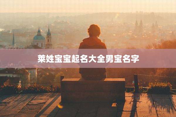 莱姓宝宝起名大全男宝名字