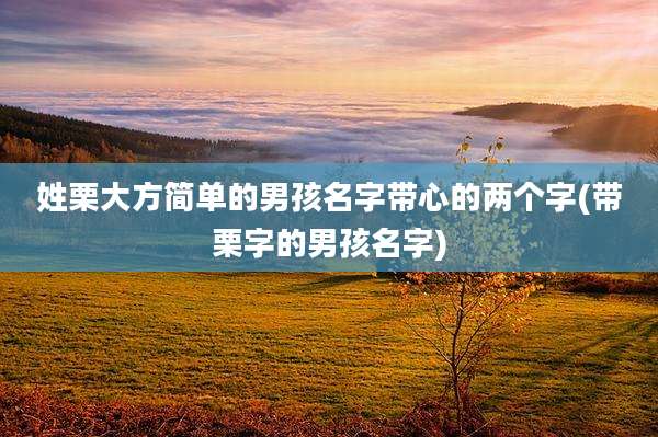 姓栗大方简单的男孩名字带心的两个字(带栗字的男孩名字)