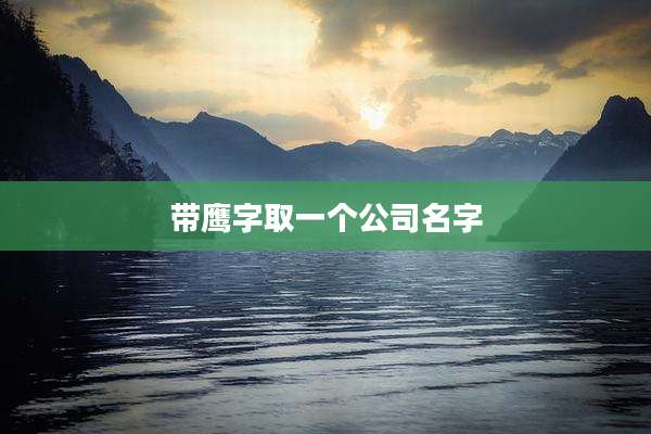 带鹰字取一个公司名字
