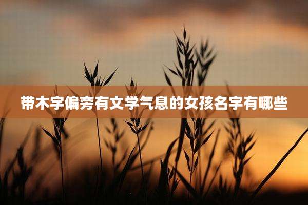 带木字偏旁有文学气息的女孩名字有哪些