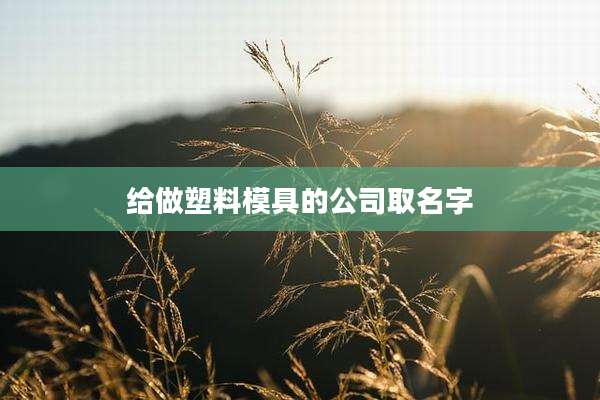 给做塑料模具的公司取名字