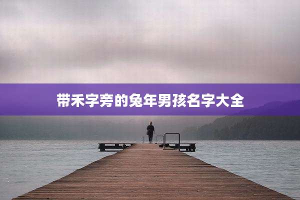 带禾字旁的兔年男孩名字大全