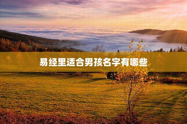 易经里适合男孩名字有哪些