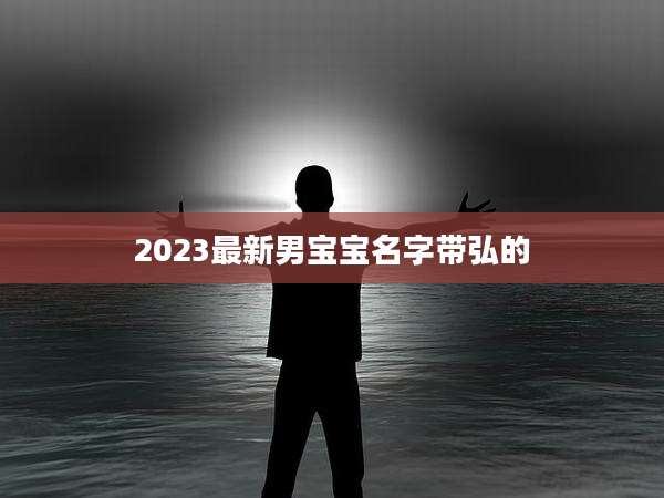2023最新男宝宝名字带弘的