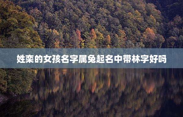 姓栾的女孩名字属兔起名中带林字好吗