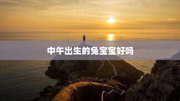 中午出生的兔宝宝好吗