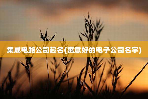 集成电路公司起名(寓意好的电子公司名字)