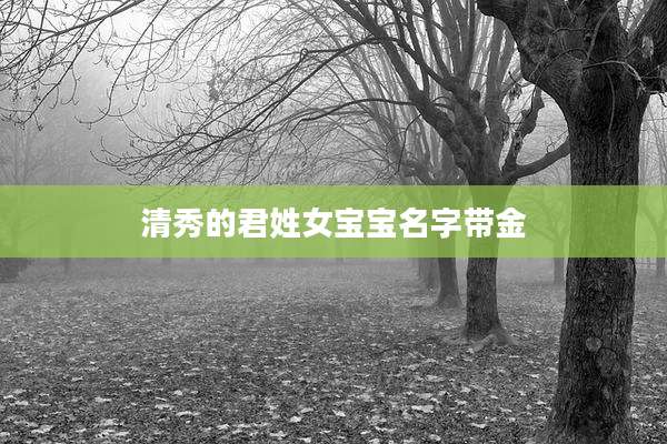 清秀的君姓女宝宝名字带金