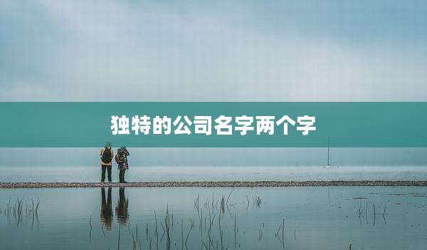 独特的公司名字两个字
