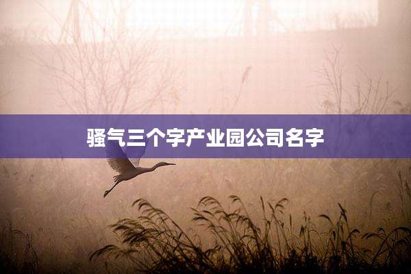 骚气三个字产业园公司名字