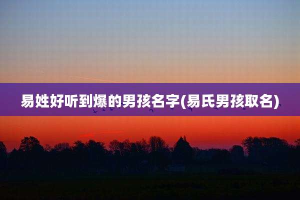 易姓好听到爆的男孩名字(易氏男孩取名)