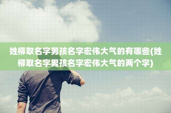 姓柳取名字男孩名字宏伟大气的有哪些(姓柳取名字男孩名字宏伟大气的两个字)
