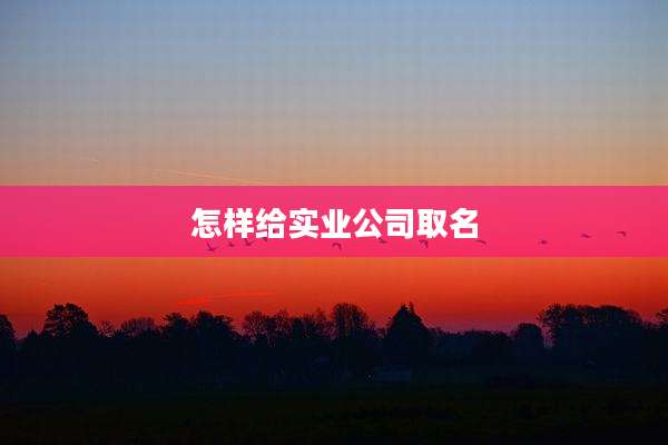 怎样给实业公司取名