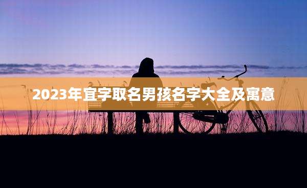2023年宜字取名男孩名字大全及寓意