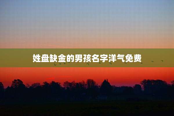姓盘缺金的男孩名字洋气免费