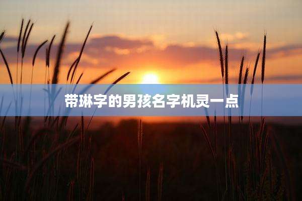 带琳字的男孩名字机灵一点