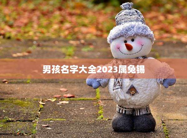 男孩名字大全2023属兔锡