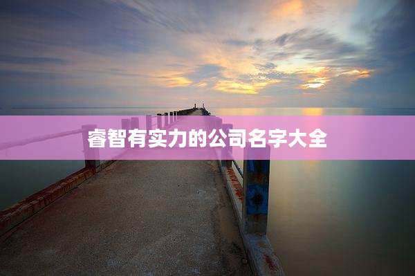 睿智有实力的公司名字大全