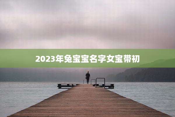 2023年兔宝宝名字女宝带初