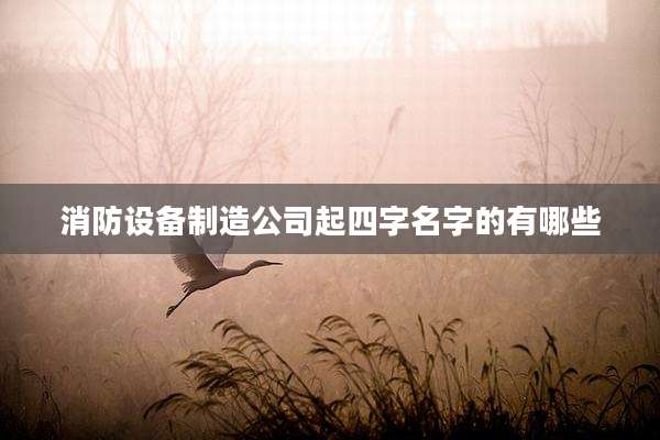 消防设备制造公司起四字名字的有哪些