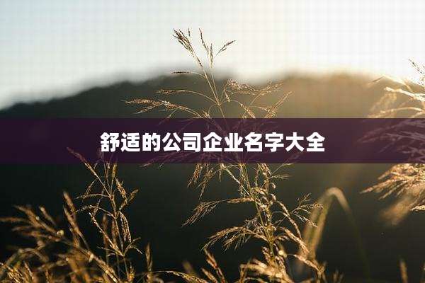 舒适的公司企业名字大全