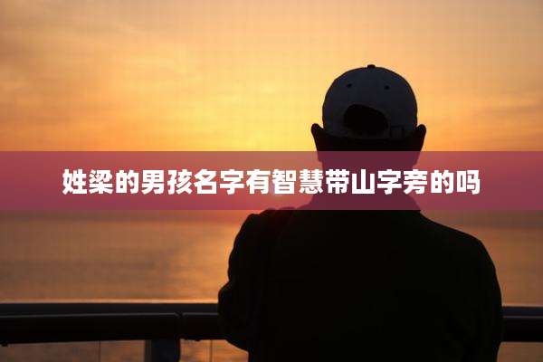 姓梁的男孩名字有智慧带山字旁的吗