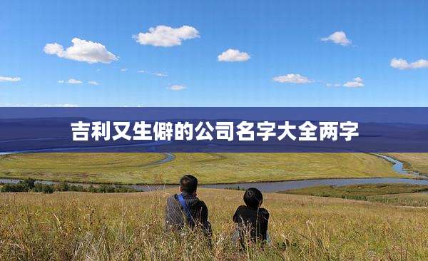 吉利又生僻的公司名字大全两字