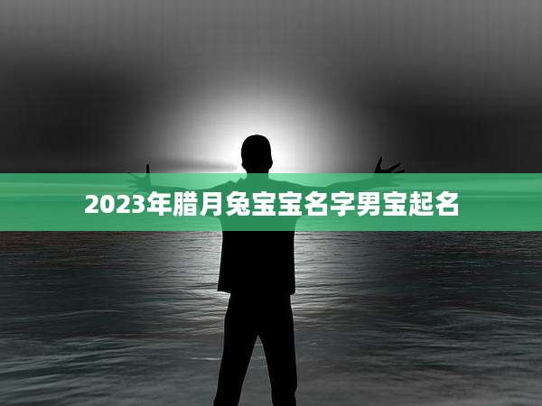 2023年腊月兔宝宝名字男宝起名