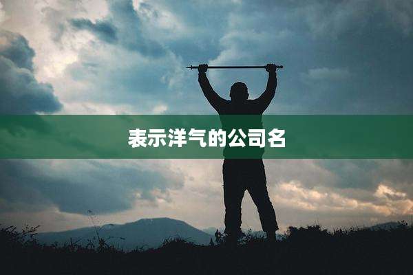 表示洋气的公司名
