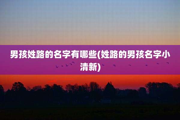 男孩姓路的名字有哪些(姓路的男孩名字小清新)