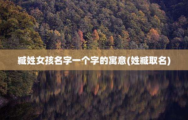 臧姓女孩名字一个字的寓意(姓臧取名)