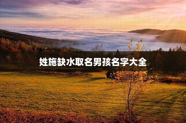 姓施缺水取名男孩名字大全
