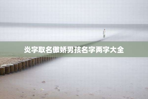 炎字取名傲娇男孩名字两字大全