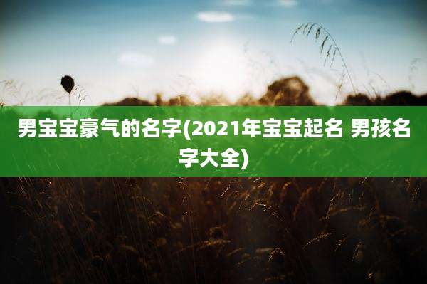 男宝宝豪气的名字(2021年宝宝起名 男孩名字大全)