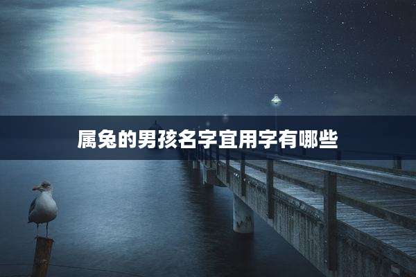 属兔的男孩名字宜用字有哪些