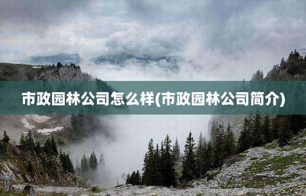 市政园林公司怎么样(市政园林公司简介)