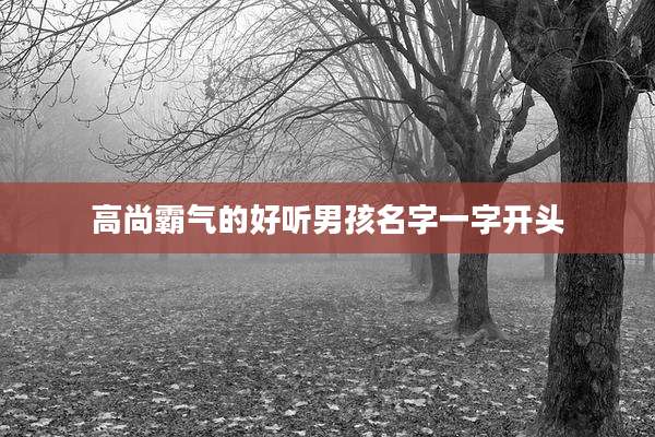 高尚霸气的好听男孩名字一字开头