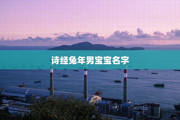 诗经兔年男宝宝名字