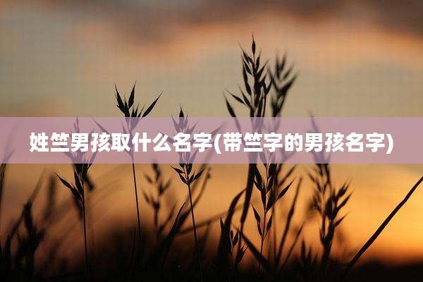 姓竺男孩取什么名字(带竺字的男孩名字)