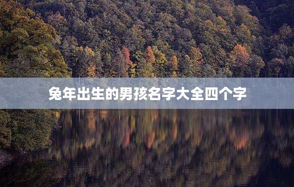 兔年出生的男孩名字大全四个字