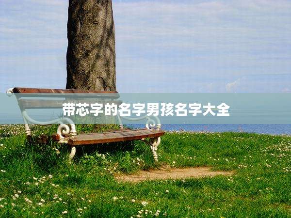 带芯字的名字男孩名字大全