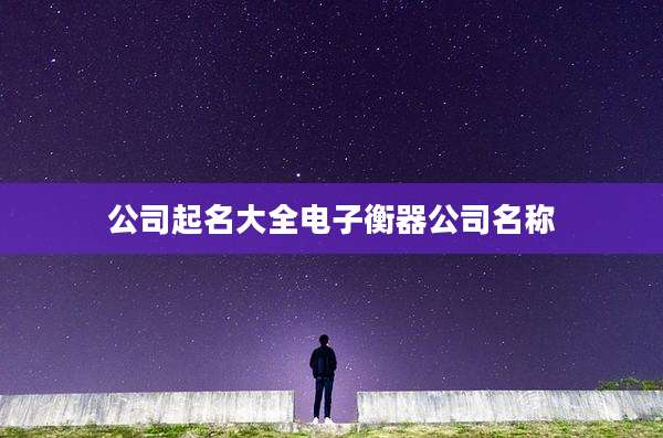 公司起名大全电子衡器公司名称