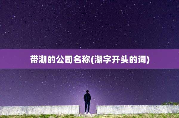 带湖的公司名称(湖字开头的词)