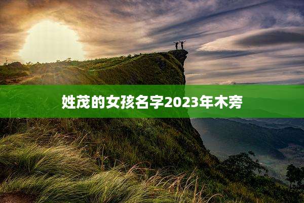 姓茂的女孩名字2023年木旁
