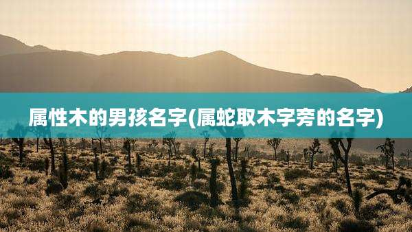 属性木的男孩名字(属蛇取木字旁的名字)