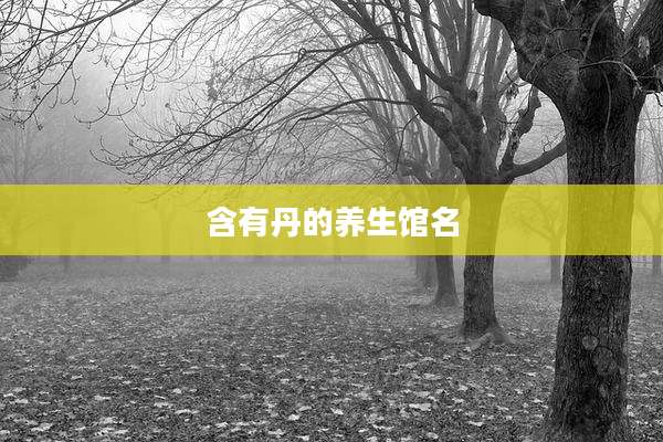 含有丹的养生馆名