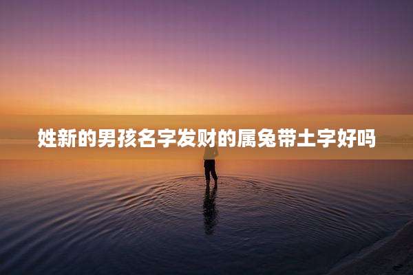 姓新的男孩名字发财的属兔带土字好吗