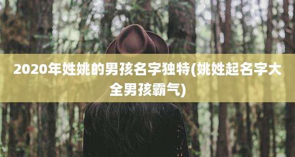 2020年姓姚的男孩名字独特(姚姓起名字大全男孩霸气)